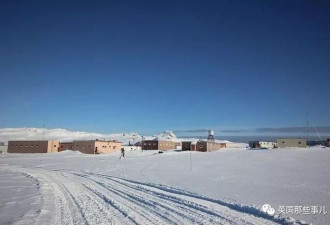 太奇葩 南极有史以来的第一桩谋杀案