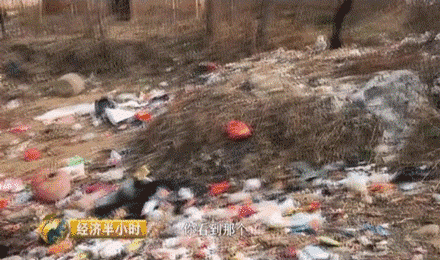 央视曝光:秦始皇陵旁村庄竟成垃圾山 太臭了!