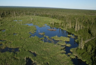 全球荒野所剩无几 加拿大是5大荒野保留国之一