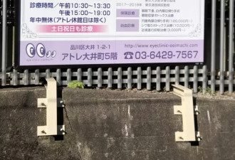 日本美女眼科院长是东大学霸 也是清朝皇族后裔