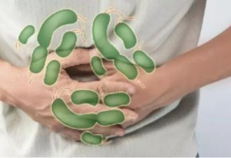 华人最爱吃的蔬菜携带可怕细菌！已有50人感染