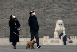 史上最严！云南边城早7到晚10禁遛狗 狗主气炸