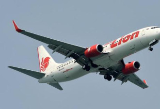波音将警告: 新型波音737客机有俯冲坠落的危险
