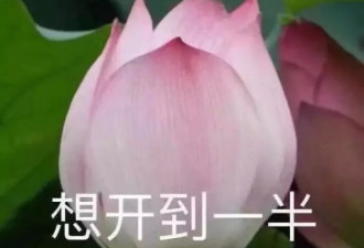 爸妈的审美有毒！竟把新房装出了一间公共房！