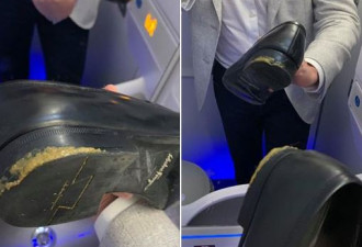 飞机座位上有狗屎 乘客裤子鞋上都是