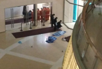 惨！天津一购物中心2名儿童坠楼 当场死亡