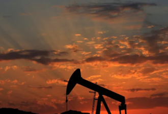 潮起潮落：石油价格不到两月降了20%