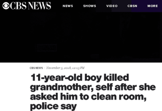 不愿打扫房间 美男孩开枪打死祖母后举枪自杀