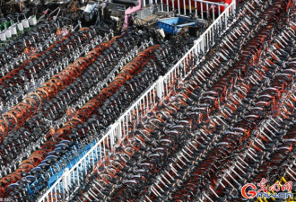 侵占停车位？上海4000辆共享单车被扣押