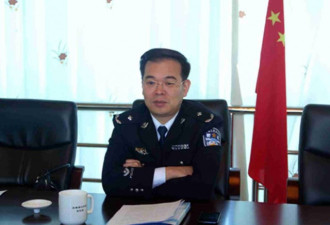 升任中国公安部部长后 林锐晋升副总警监警衔