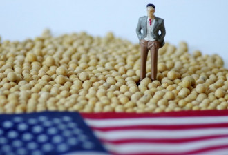 全球变暖大豆增产，厄尔尼诺扰乱中美贸易战