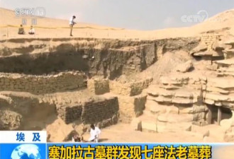 埃及发现七座法老墓葬 成功挖掘圣甲虫木乃伊