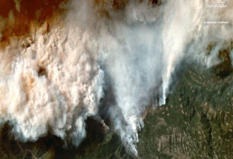 加州山火九人遇难，一家人穿越火海现场曝光
