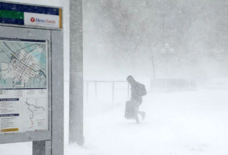 超级雪暴袭击 加拿大人受不了 铲雪都闪腰了