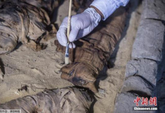 埃及新发现古墓葬出土猫咪木乃伊