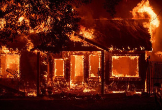美国加州最惨野火已66死，失踪暴增至631人