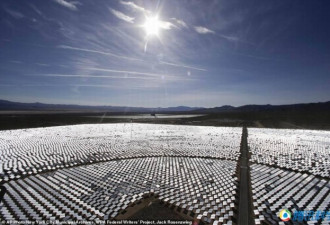 世界最大的太阳能发电站成鸟类死亡陷阱