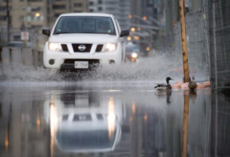 多伦多雷暴大雨周三16C 环境部发淹水警告