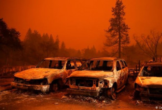 美国森林大火，驾车逃离不果已导致多人丧命