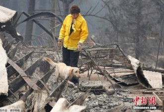 加州山火遇难人数不断上升 寻尸犬进入小镇工作
