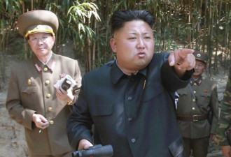 韩情报院：朝鲜用高射炮处决5名高官