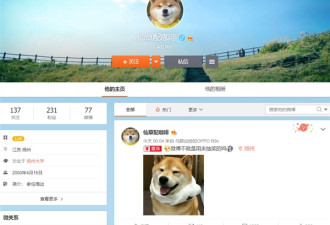 900万商品免费拿 天猫双11揭晓10亿订单幸运儿