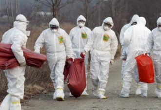 美国传出禽流感 家禽进口将遭全面防堵