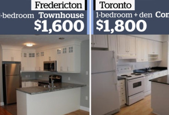 多伦多VS其他城市 加拿大租房大比拼！
