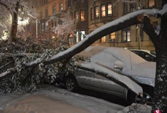 寒潮袭击美东大雪 纽约交通瘫痪