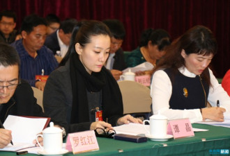 谭晶首次出席云南代表团会议：已不再是军人
