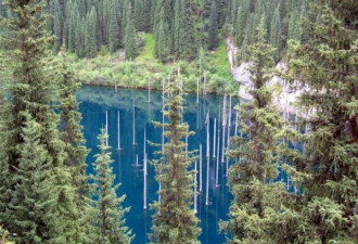 奇观!这片树林在蓝色的湖水中“倒立生长”
