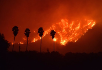 美国加州大火已经烧了一年了，到底怎么了？！