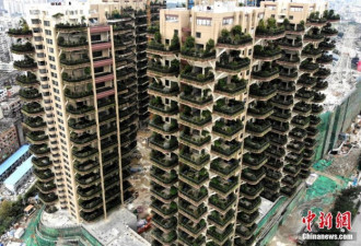 成都建首个”垂直森林”住宅:阳台成私家花园