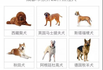 成都开始收容禁养犬，这些烈性犬品种被禁养