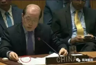 在联合国脱稿怒怼西方的中国大使夫妻都是名嘴