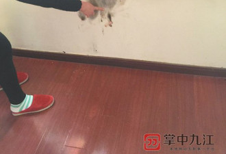 江西：民居5天发生8次自燃 卫生纸都能烧起来