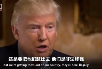 特朗普推特新用途get 看美网友如何出卖丈母娘
