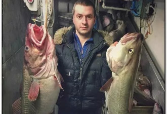 俄罗斯渔夫网上捕捞到的深海怪物，惊吓全世界