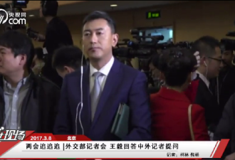 外交部长王毅就中国的外交政策答中外记者问