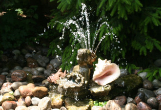 养花种草系列79：庭园喷水流水装置