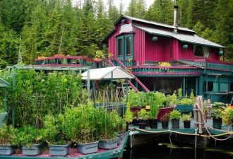 加拿大夫妇无钱购房 25年在水上建起漂浮房