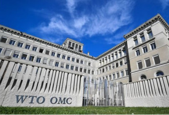 中国与WTO:  美国暗示可能把北京赶出该机构
