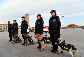 北京警犬首次佩戴全景VR执法记录仪执勤