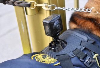 北京警犬首次佩戴全景VR执法记录仪执勤