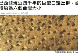 发现超级白蚁巢 构筑数千年！面积6个台湾大