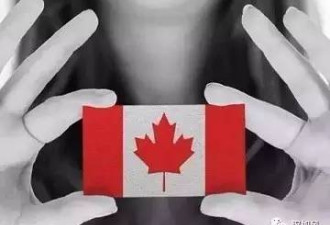 324中国人被加拿大遣返  4大原因后面的故事