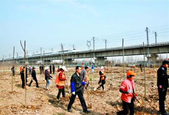 武汉城管整治违建出新招：栽下3000棵树来应对