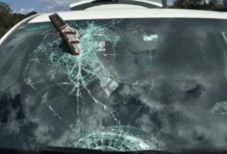 飞来横祸！车牌砸穿挡风玻璃，女司机被惊呆