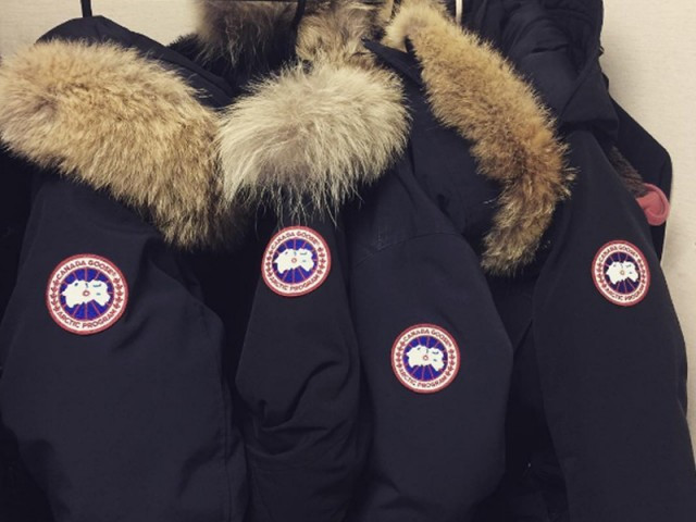 “Canada Goose”的图片搜索结果
