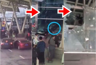 女司机油门当煞车 男路人被撞飞堕桥亡